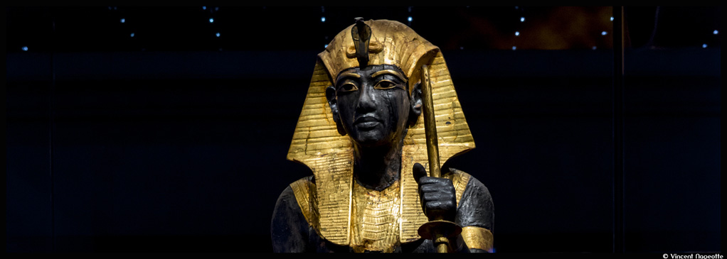 couv_TOUTANKHAMON_©VincentNageotte-IMG_-PARIS_NGT1421_@loeildoliv