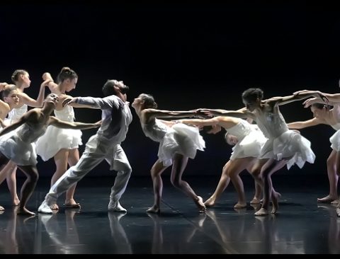 Le Lac des Cygnes. Tchaïkovski. Angelin Preljocaj. Pavillon Noir. Grand théâtre de provence. Ballet Preljocaj. © Jean-Claude Carbonne