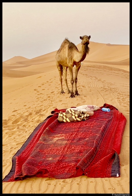 Le désert © Karyll Elgrichi
