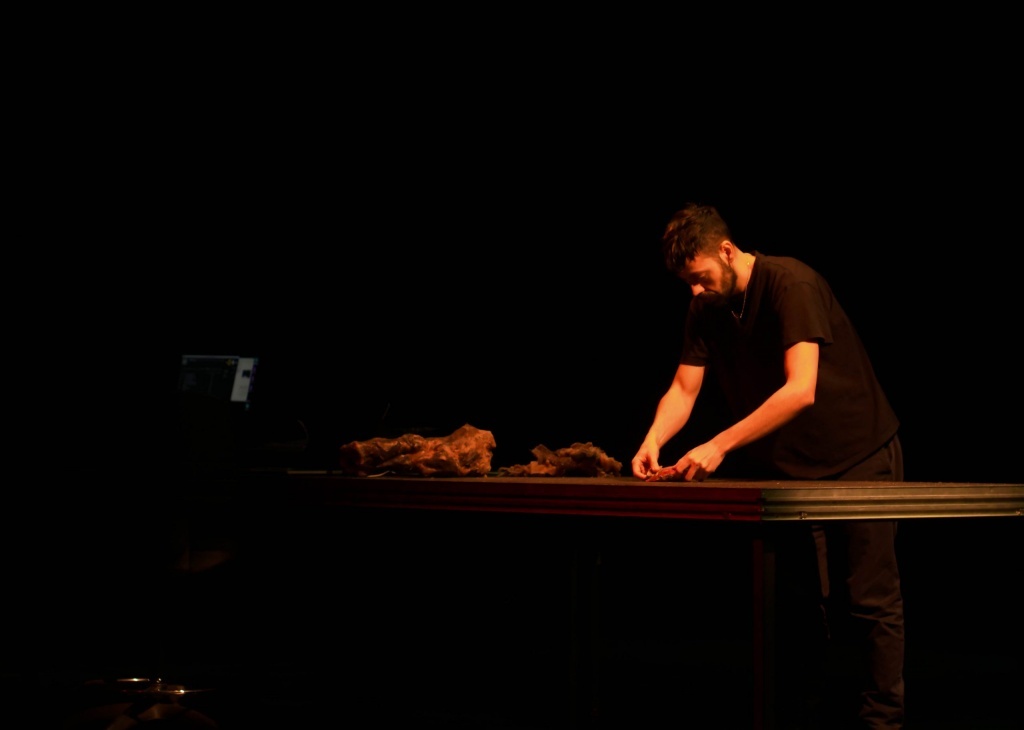 Nécropolis d'Arcadi Zaides. Montpellier Danse. © Vincent Staub