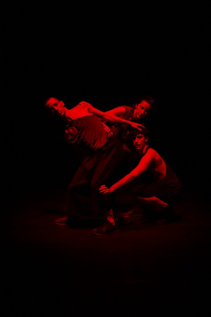 Nuit de Sylvain Huc. Montpellier Danse © Loran Chourrau