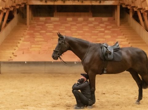 Entretiens silencieux - Bartabas et Tsar - © Franck Fokerman