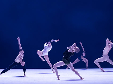 Ab[intra] de la Sidney Dance Company © Pedro Greig