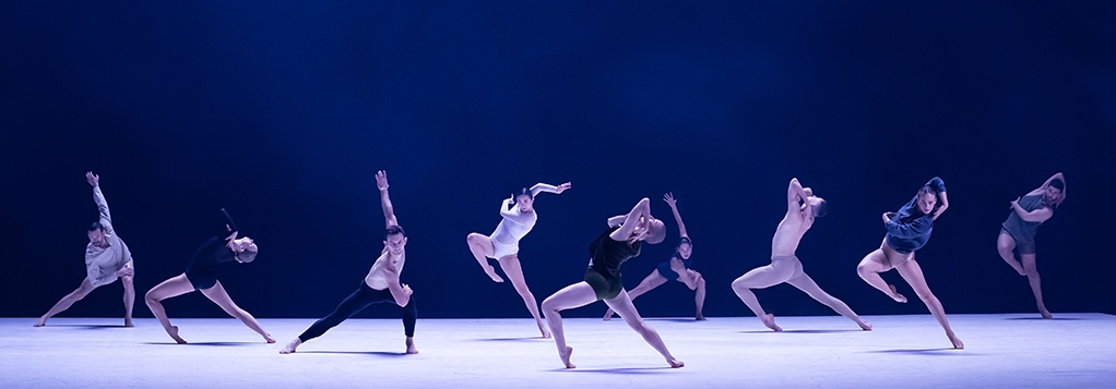 Ab[intra] de la Sidney Dance Company © Pedro Greig