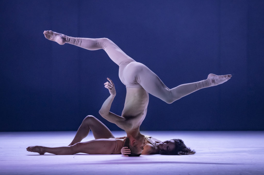 Ab[intra] de la Sidney Dance Company © Pedro Greig