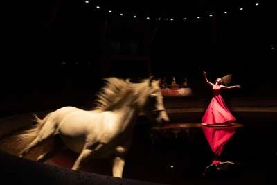 Cabaret de l’Exil - Femmes Persanes de Bartabas - Zingaro © Hugo Marty