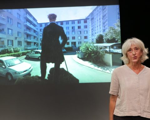 Je n'ai pas lu Foucault - Céline Caussimon © Cie Les Apicoles